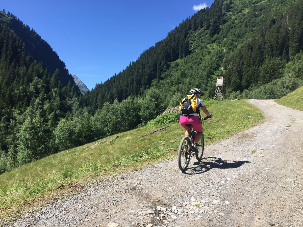 Der Steinbock - 300 Jahre Alte - Tirol Gasthuis Sankt Anton am Arlberg