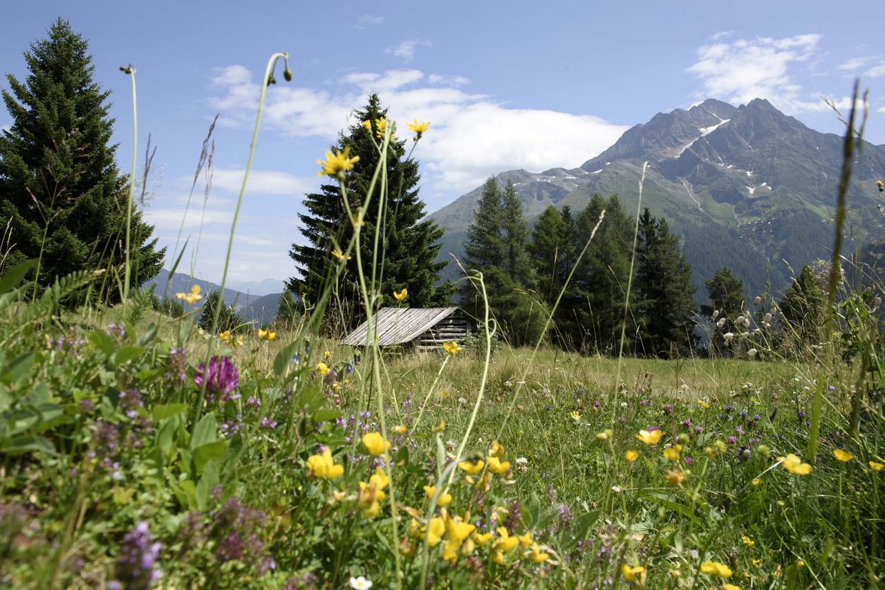 Gasthuis Der Steinbock - 300 Jahre Alte - Tirol 2*